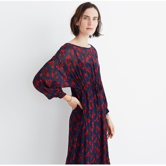 Madewell No.6 Vintage Rose Blue Red Silk Floral Printed Silk Magical Dress EUC 6